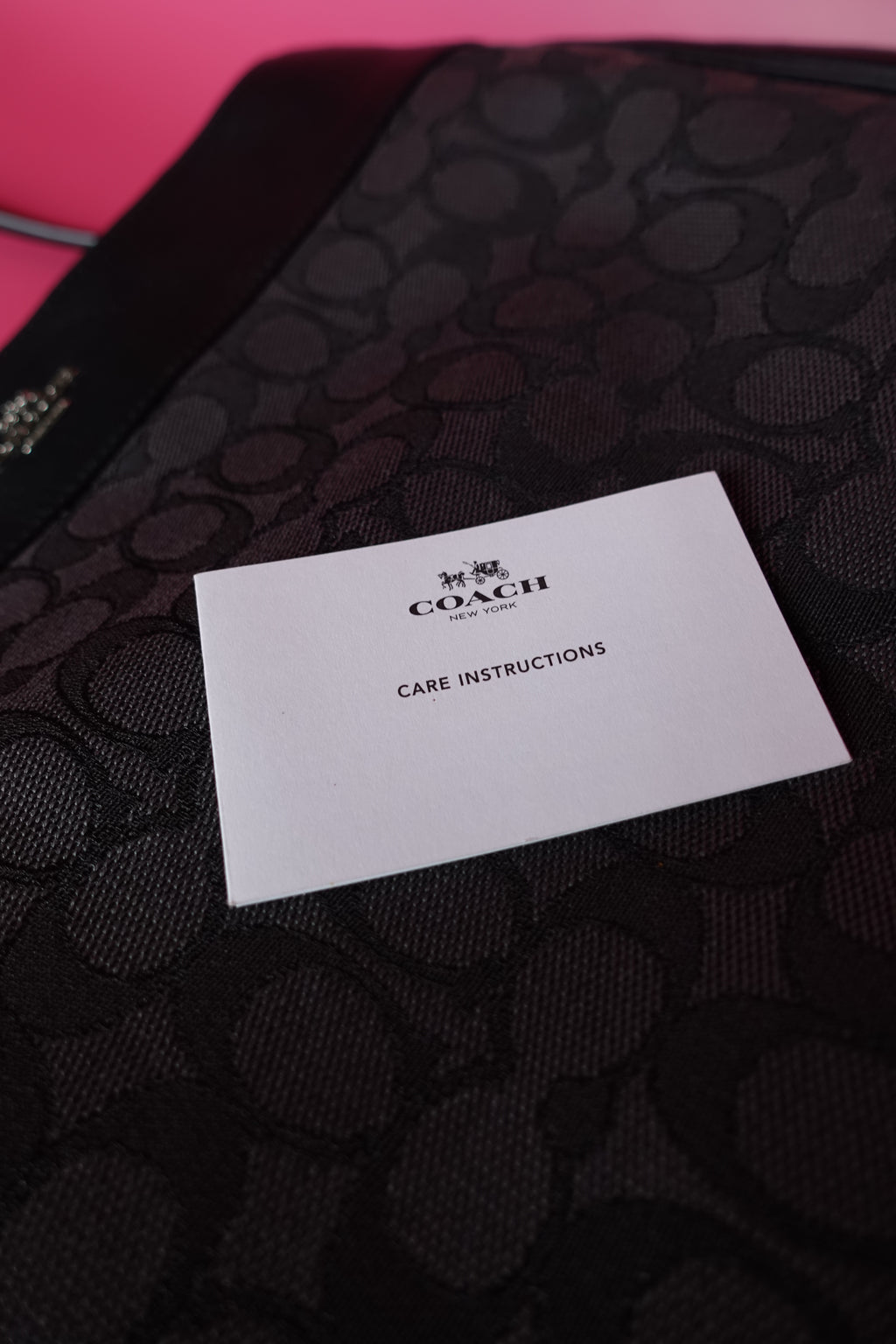 NWT Coach Lexy Bag