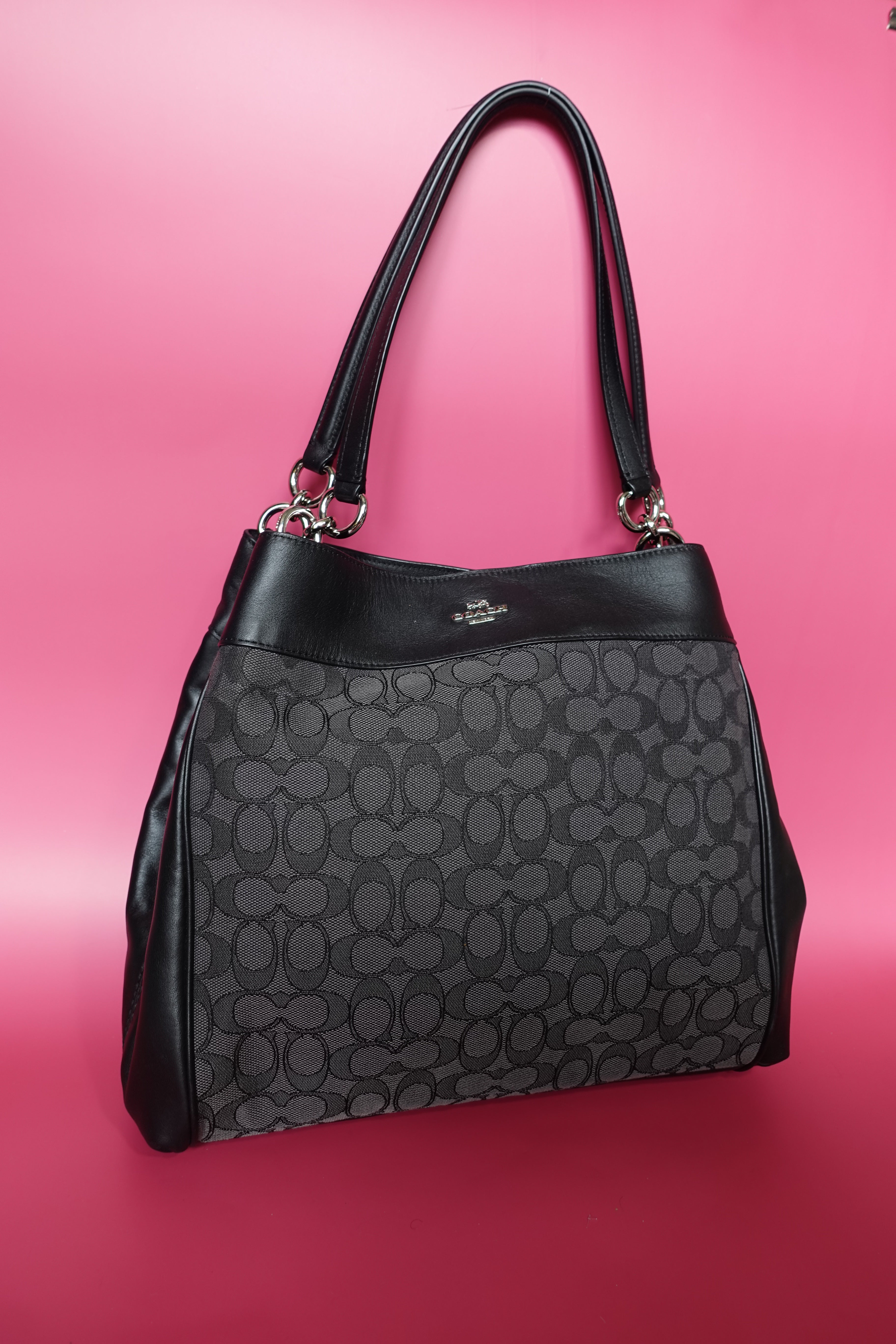 NWT Coach Lexy Bag