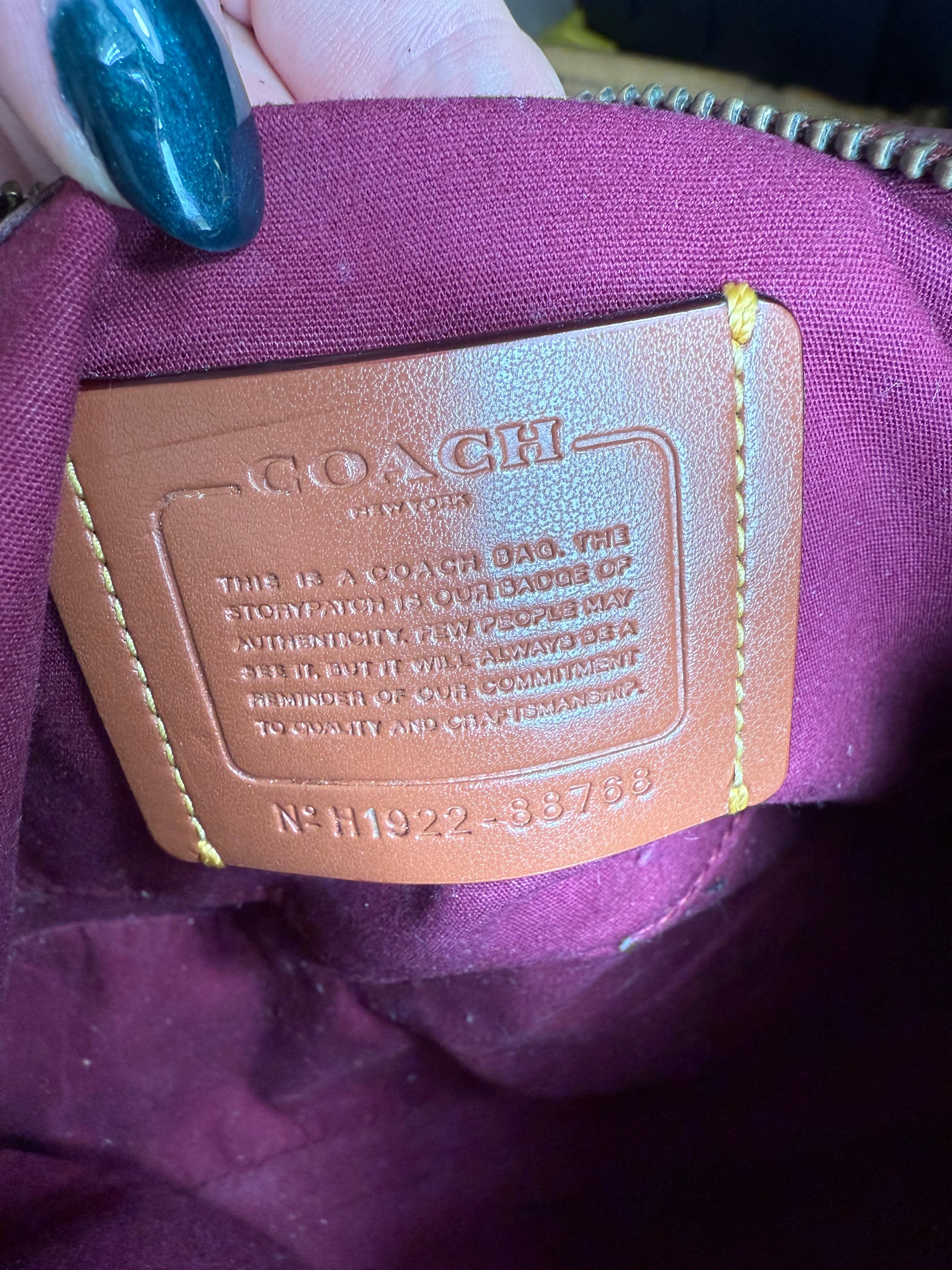 Coach Sutton Crossbody Y2K Bag
