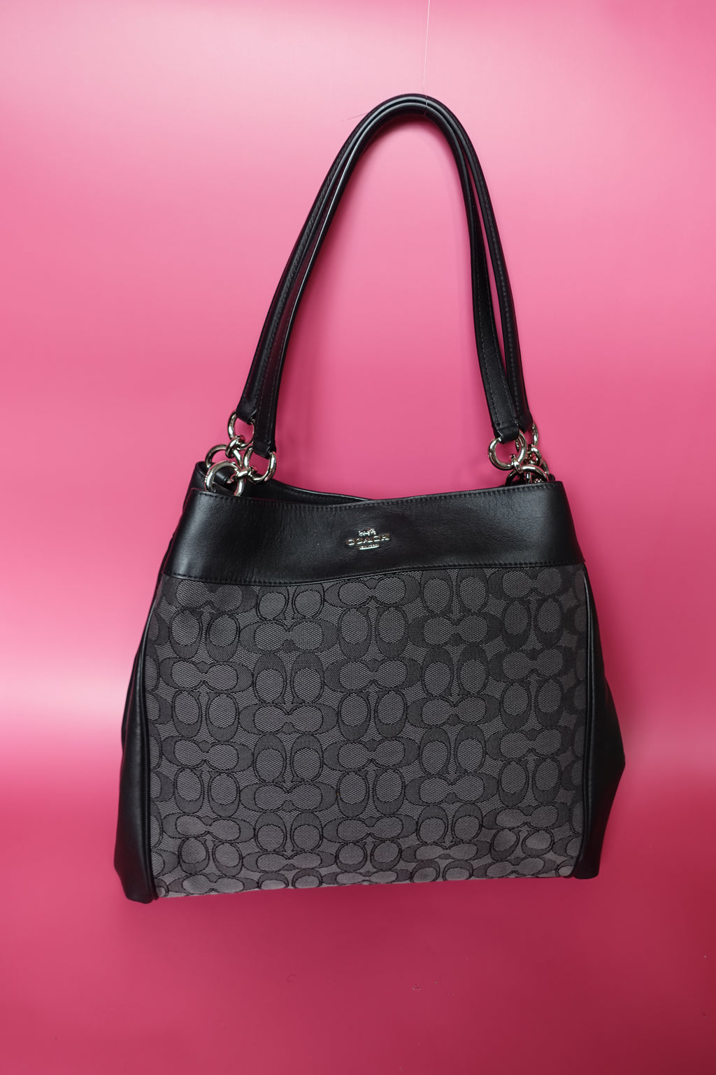 NWT Coach Lexy Bag