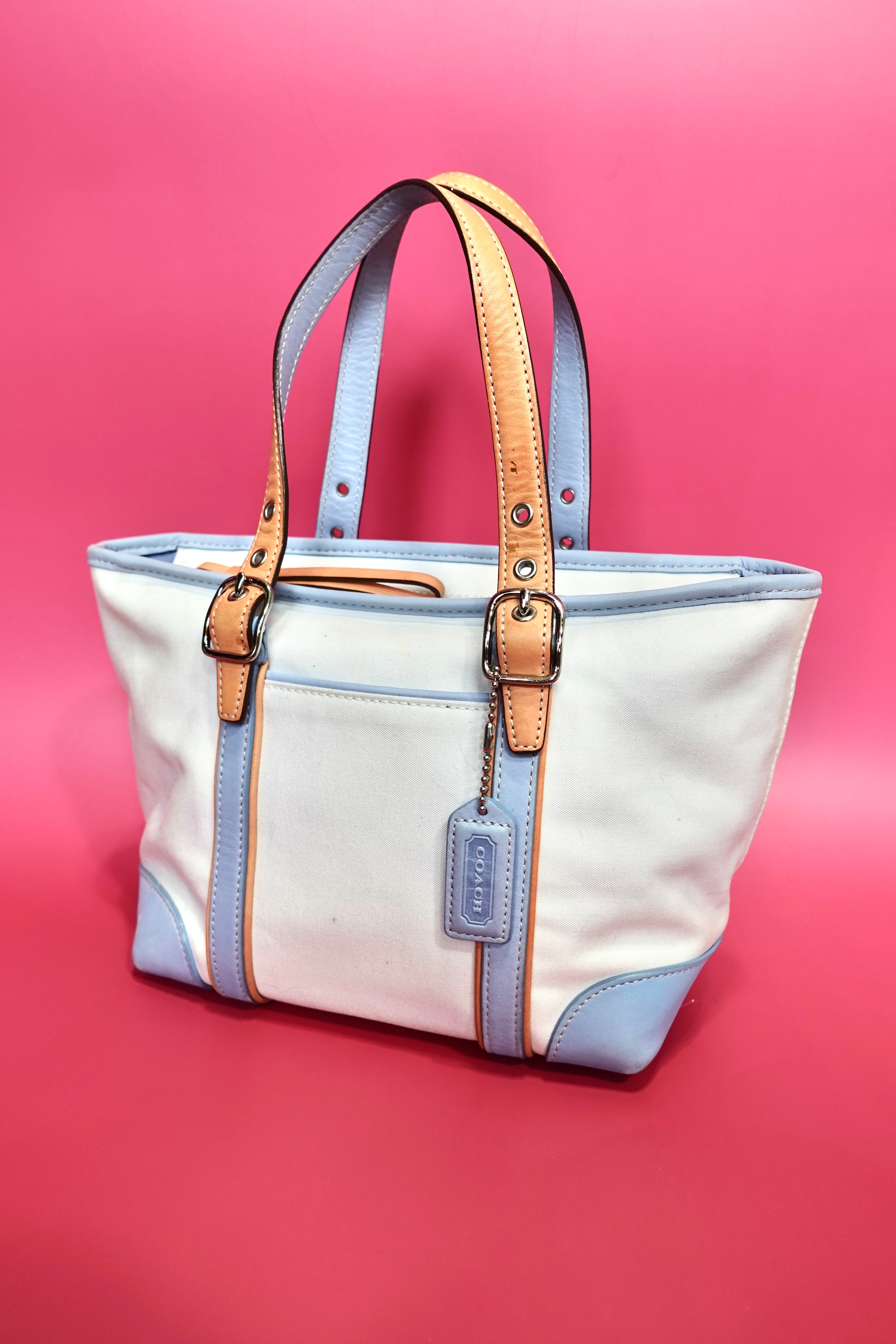 Coach Mini Tote