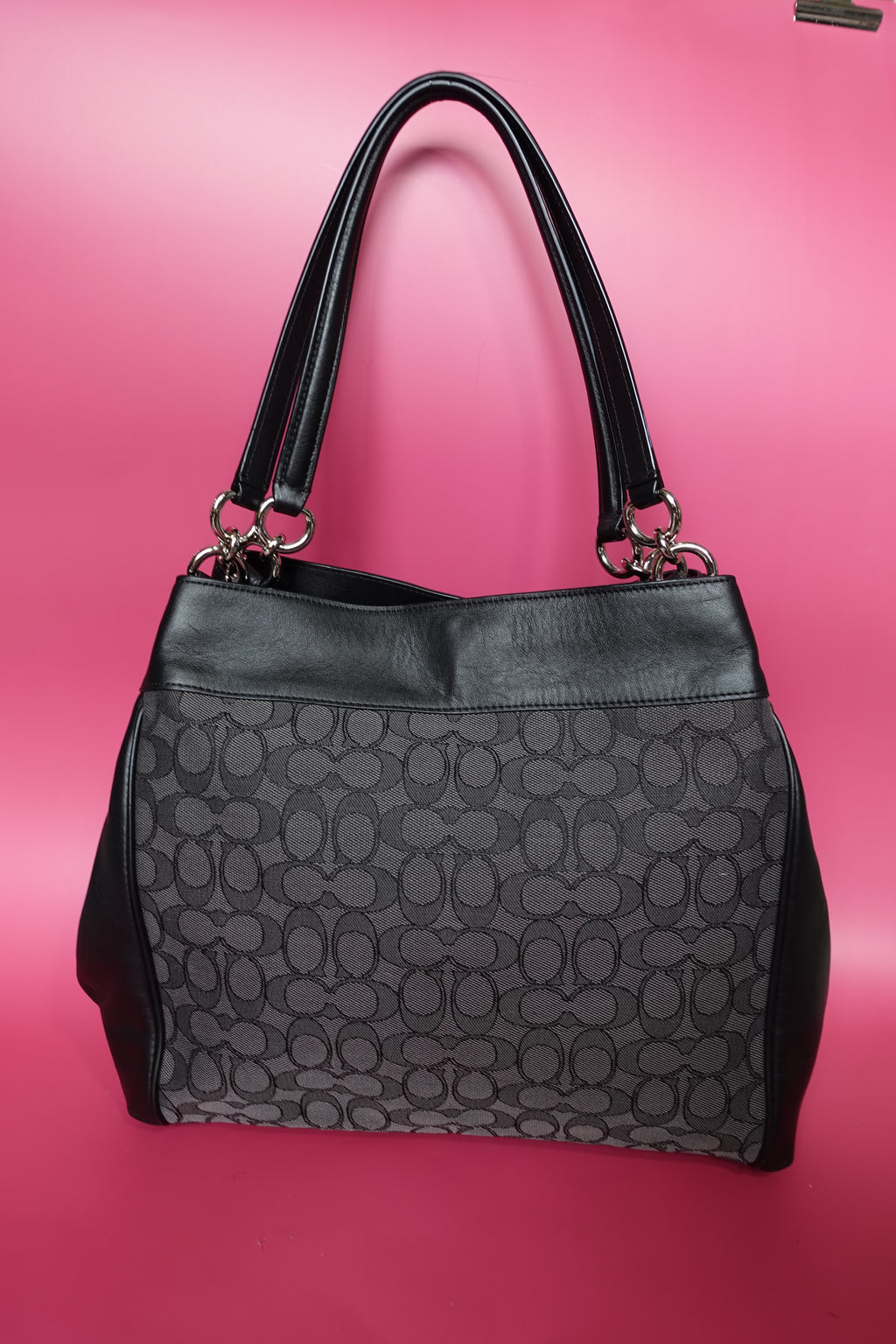 NWT Coach Lexy Bag