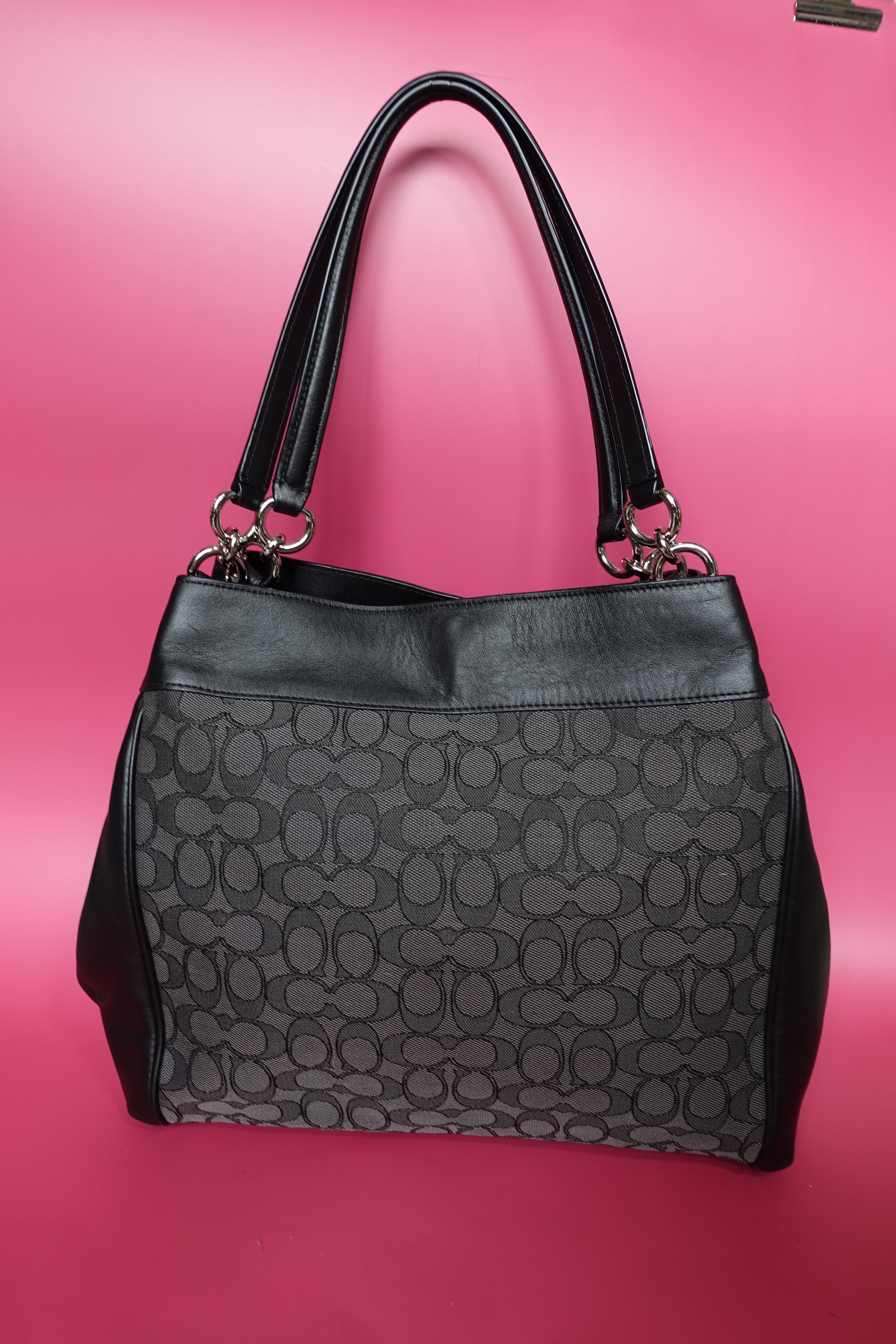 NWT Coach Lexy Bag