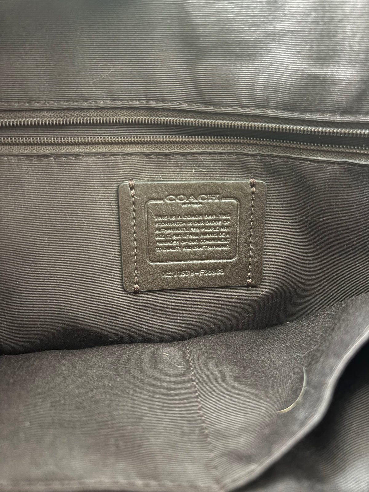 Coach Snakeskin Tote